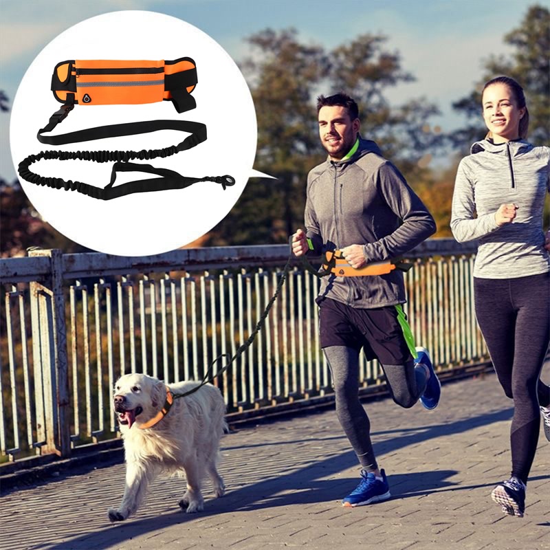 Hand Free Dog Running Leash With Zipper Pouch Running Leash Multi-functional Waist Bag Night Visible Reflective Dog Walking Rope