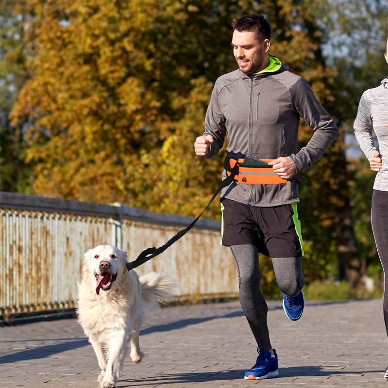 Hand Free Dog Running Leash With Zipper Pouch Running Leash Multi-functional Waist Bag Night Visible Reflective Dog Walking Rope