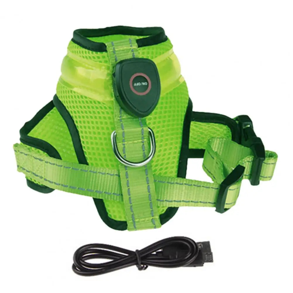 GreatPet LED Vest
